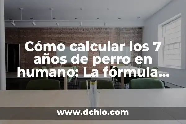 ¿Cuántos años de perro son equivalentes a 1 año humano? 4 Cómo calcular los 7 años de perro en humano: La fórmula secreta