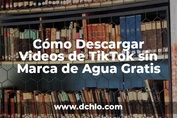 Editar Videos Online sin Marca de Agua: Guía Completa 8 Cómo Descargar Videos de TikTok sin Marca de Agua Gratis
