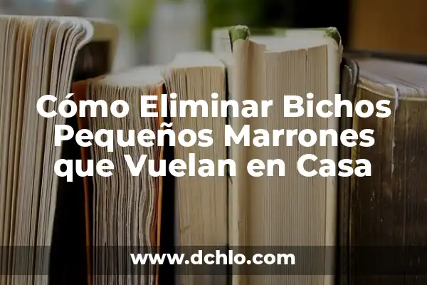Remedios Caseros para Mosquitos Pequeños en la Cocina: Soluciones Naturales 3 Cómo Eliminar Bichos Pequeños Marrones que Vuelan en Casa