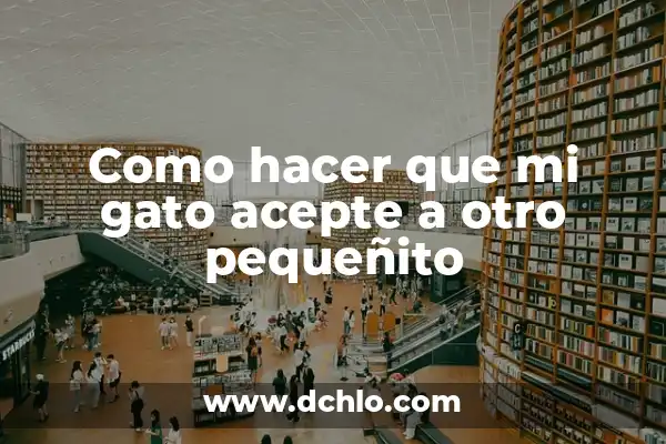 ¿Por qué tengo un testículo más grande que el otro? 5 Como hacer que mi gato acepte a otro pequeñito