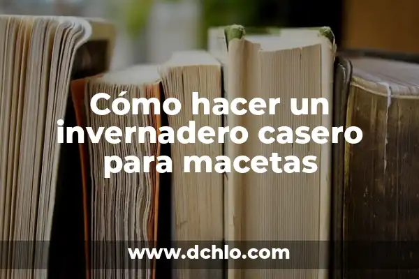 ¿En qué consiste el efecto invernadero? El Fenómeno que Cambia el Clima 5 Cómo hacer un invernadero casero para macetas