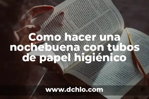 Significado de la Flor de Nochebuena 6 Como hacer una nochebuena con tubos de papel higiénico