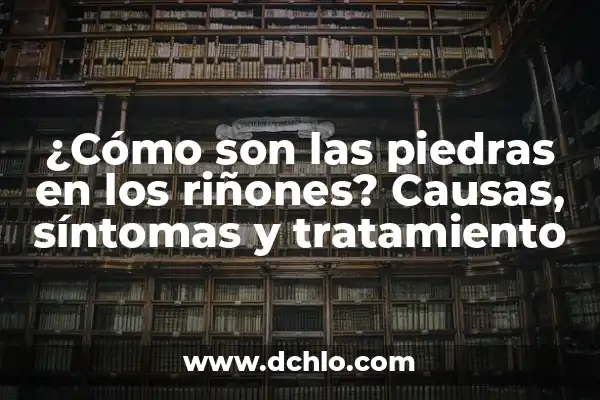 Medicamentos para Arenilla en los Riñones: Guía Completa y Actualizada 8 ¿Cómo son las piedras en los riñones? Causas, síntomas y tratamiento