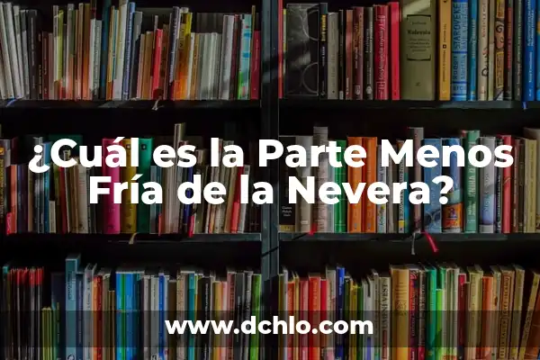 Como Hacer para Sudar Menos en los Pies 8 ¿Cuál es la Parte Menos Fría de la Nevera?