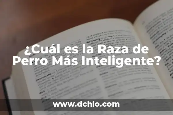 ¿Cuál es la Raza de Perros Más Inteligente? - Descubre la Respuesta 3 ¿Cuál es la Raza de Perro Más Inteligente?