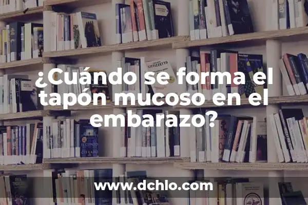 Interrupción Legal de Embarazo Significado 5 ¿Cuándo se forma el tapón mucoso en el embarazo?
