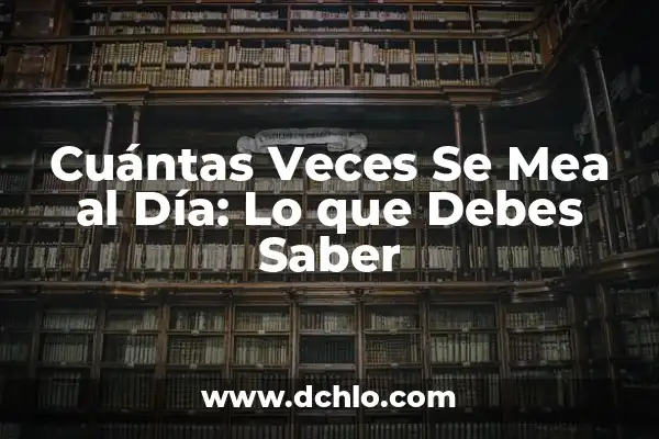 Cómo Saber Cuántas Veces una Persona Mira mi WhatsApp 8 Cuántas Veces Se Mea al Día: Lo que Debes Saber