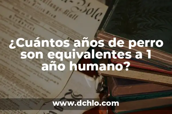 Cómo calcular los 7 años de perro en humano: La fórmula secreta 8 ¿Cuántos años de perro son equivalentes a 1 año humano?