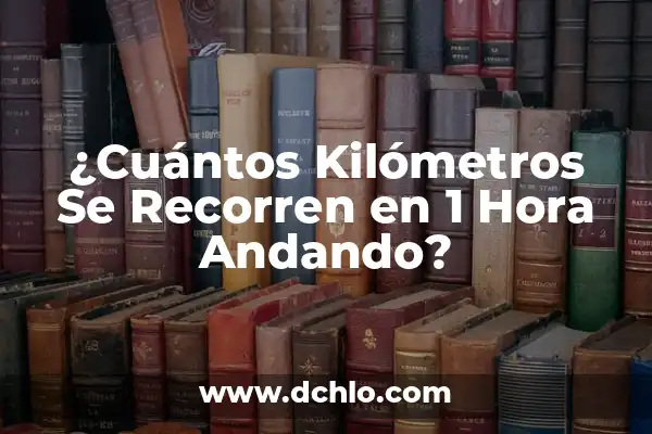 Cuántos jugadores hay en un equipo de rugby exactamente 5 ¿Cuántos Kilómetros Se Recorren en 1 Hora Andando?