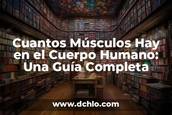 ¿Qué hay en el lado izquierdo del cuerpo humano? - Anatomía y función 6 Cuantos Músculos Hay en el Cuerpo Humano: Una Guía Completa