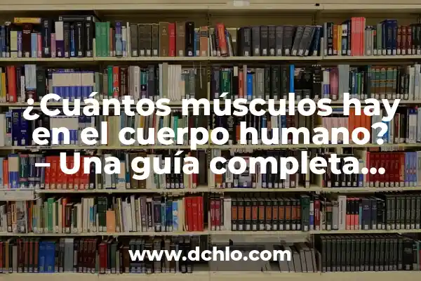 ¿Qué hay en el lado izquierdo del cuerpo humano? - Anatomía y función 4 ¿Cuántos músculos hay en el cuerpo humano? – Una guía completa sobre la anatomía muscular