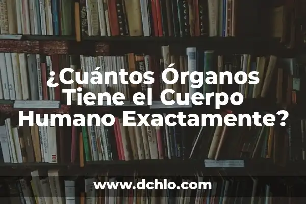 ¿Qué hay en el lado izquierdo del cuerpo humano? - Anatomía y función 8 ¿Cuántos Órganos Tiene el Cuerpo Humano Exactamente?