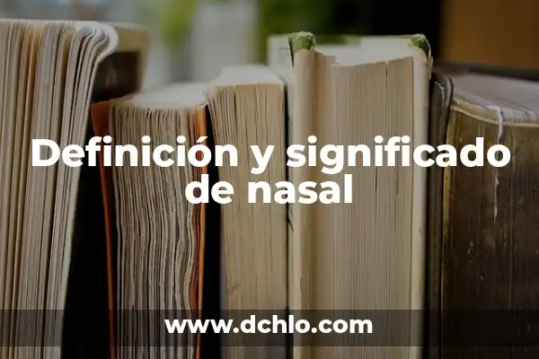 Iconos de Lavado y su Significado 5 Definición y significado de nasal