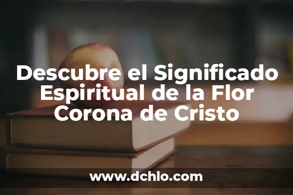 Significado del Tribunal de Cristo 7 Descubre el Significado Espiritual de la Flor Corona de Cristo