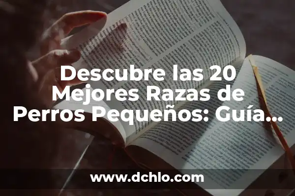 Nombres de Razas de Perro Pequeños: Una Guía Completa y Actualizada 3 Descubre las 20 Mejores Razas de Perros Pequeños: Guía Completa