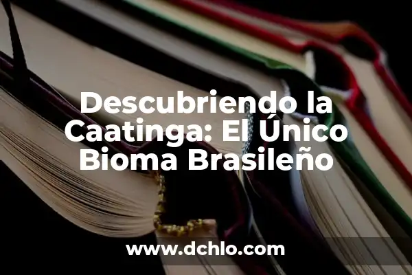 A Qué Hora Juega España contra Brasil en el Mundial de Fútbol 4 Descubriendo la Caatinga: El Único Bioma Brasileño