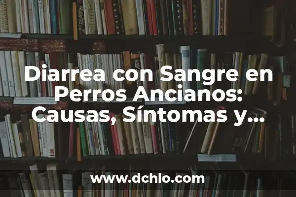 Tatuajes de Perros para Mujeres: Un Simbolismo Profundo 5 Diarrea con Sangre en Perros Ancianos: Causas, Síntomas y Tratamiento