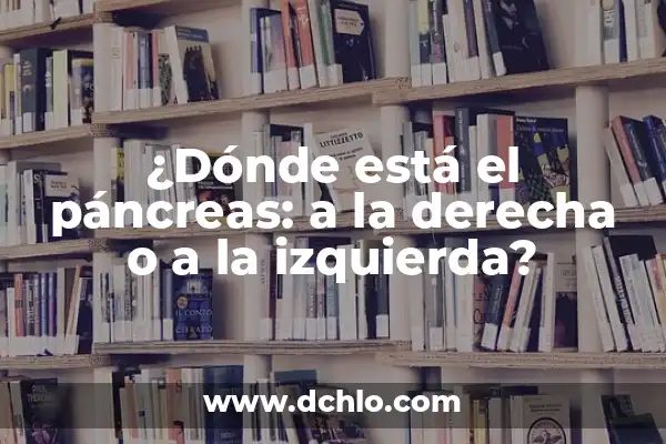 Significado de Socialismo en la Política 6 ¿Dónde está el páncreas: a la derecha o a la izquierda?