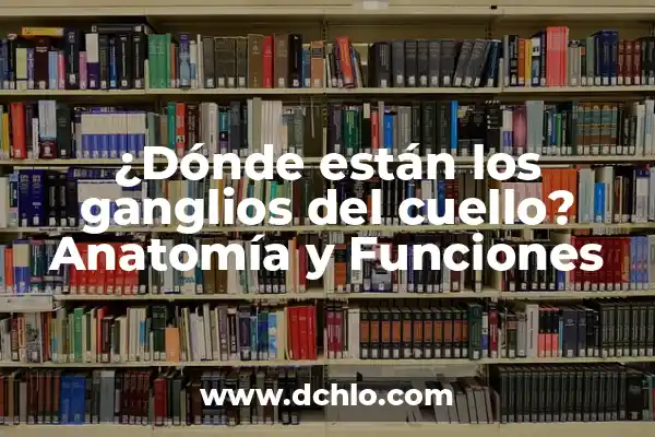 Musculos de la Pierna y Cadera: Anatomía y Funciones 8 ¿Dónde están los ganglios del cuello? Anatomía y Funciones