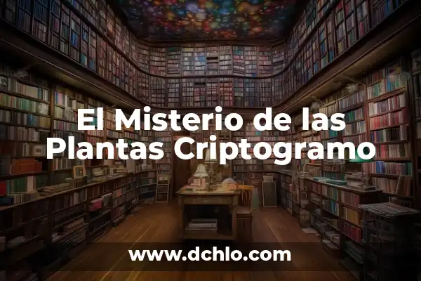Hierbas de San Juan: Propiedades y Usos Medicinales de esta Planta Natural 8 El Misterio de las Plantas Criptogramo