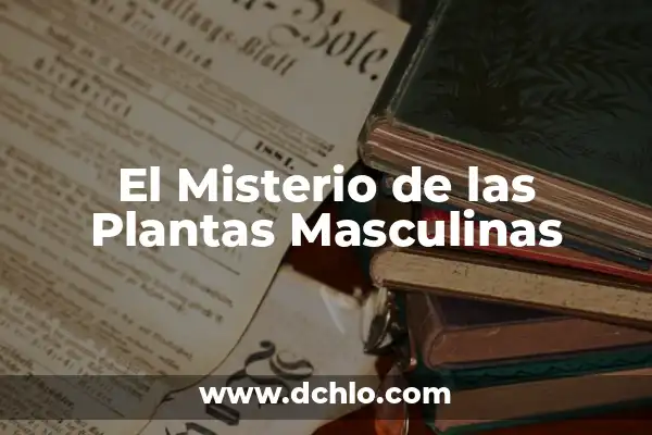 Hierbas de San Juan: Propiedades y Usos Medicinales de esta Planta Natural 4 El Misterio de las Plantas Masculinas