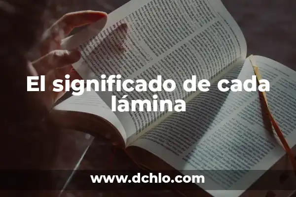 El Fascinante Mundo del Zodiaco de Johfra 8 El significado de cada lámina