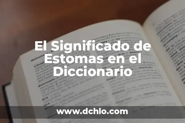 Investigar el significado de estomas 5 El Significado de Estomas en el Diccionario