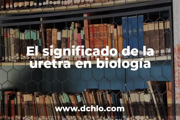 Significado de Filiforme - Un Enfoque en la Biología Vegetal 6 El significado de la uretra en biología