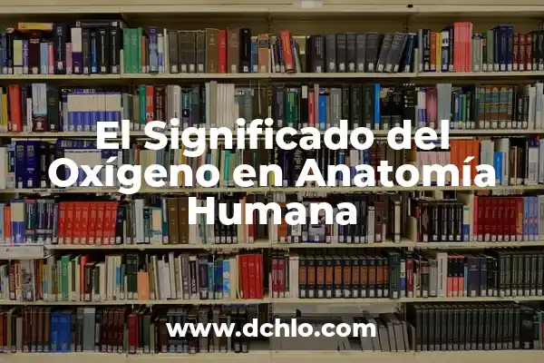 Partes de atrás de la rodilla: Anatomía y función 5 El Significado del Oxígeno en Anatomía Humana