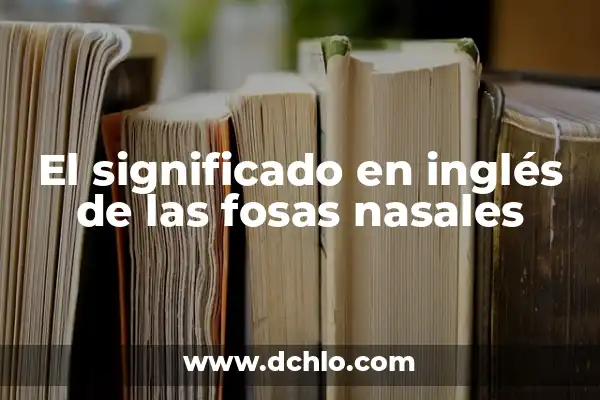 Cómo hacer lavados nasales para bebés 5 El significado en inglés de las fosas nasales