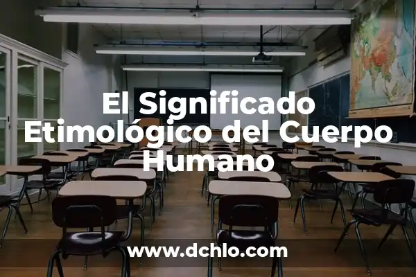 ¿Qué hay en el lado izquierdo del cuerpo humano? - Anatomía y función 7 El Significado Etimológico del Cuerpo Humano