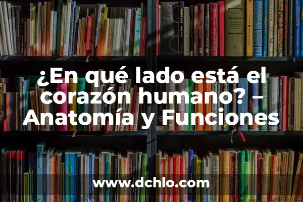 Musculos de la Pierna y Cadera: Anatomía y Funciones 6 ¿En qué lado está el corazón humano? – Anatomía y Funciones