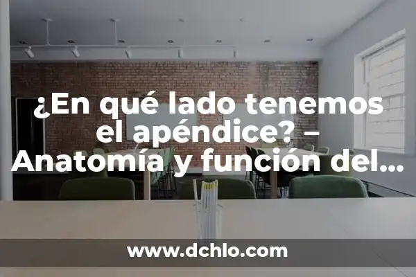 ¿De qué lado está la apéndice? (Guía completa para ubicar el apéndice) 3 ¿En qué lado tenemos el apéndice? – Anatomía y función del apéndice