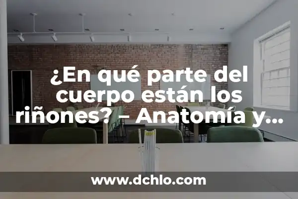 Musculos de la Pierna y Cadera: Anatomía y Funciones 4 ¿En qué parte del cuerpo están los riñones? – Anatomía y Funciones