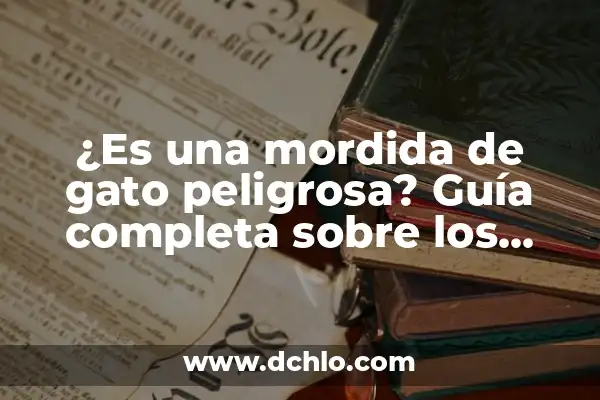 ¿Es Peligrosa la Tensión Alta por Ansiedad? 8 ¿Es una mordida de gato peligrosa? Guía completa sobre los riesgos y prevención