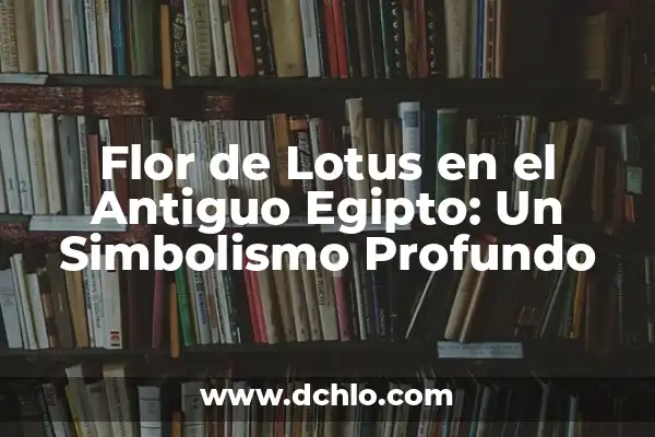 El Misterio del Símbolo de Anubis en el Antiguo Egipto 6 Flor de Lotus en el Antiguo Egipto: Un Simbolismo Profundo