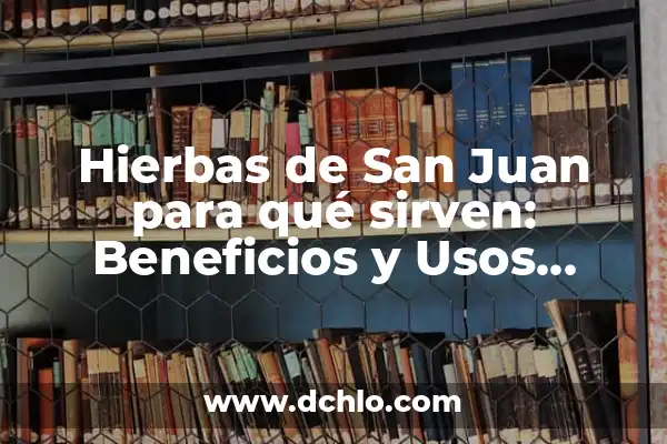 Hierbas de San Juan: Propiedades y Usos Medicinales de esta Planta Natural 7 Hierbas de San Juan para qué sirven: Beneficios y Usos Medicinales