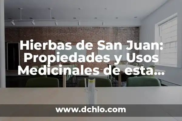 Hierbas de San Juan para qué sirven: Beneficios y Usos Medicinales 3 Hierbas de San Juan: Propiedades y Usos Medicinales de esta Planta Natural