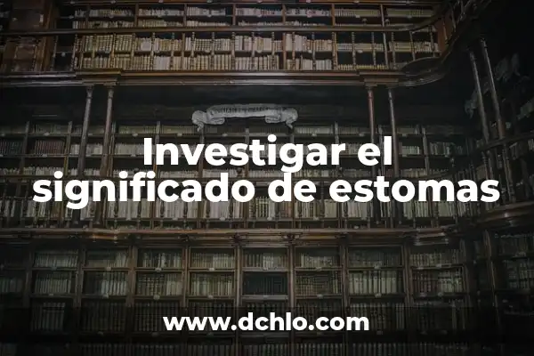 El significado de estomas en Wikipedia 6 Investigar el significado de estomas
