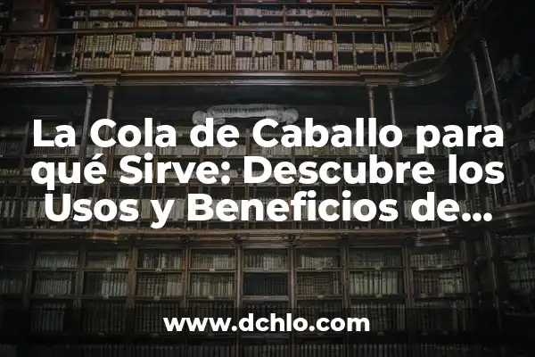Beneficios de la Flor de Jamaica: Descubre los Secretos de esta Hierba Milagrosa 3 La Cola de Caballo para qué Sirve: Descubre los Usos y Beneficios de esta Planta Natural
