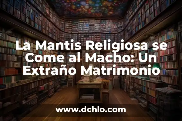 Interpretación Onírica de las Mantis Gigantes 6 La Mantis Religiosa se Come al Macho: Un Extraño Matrimonio
