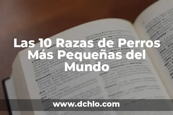 Nombres de Razas de Perro Pequeños: Una Guía Completa y Actualizada 4 Las 10 Razas de Perros Más Pequeñas del Mundo