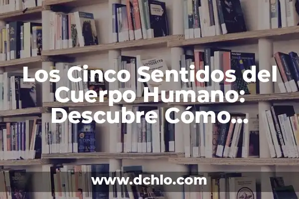 Como hacer que un Sims se enamore de otro 6 Los Cinco Sentidos del Cuerpo Humano: Descubre Cómo Funcionan