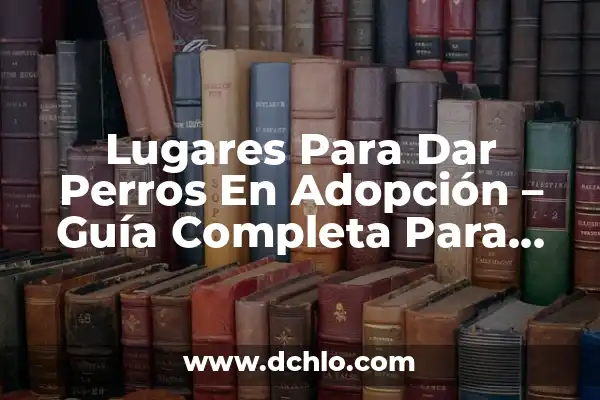 Significado de Ser una Persona Tolerante 6 Lugares Para Dar Perros En Adopción – Guía Completa Para Ayudar A Los Amigos Caninos