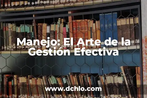 IMMS - Entendiendo sus siglas 3 Manejo: El Arte de la Gestión Efectiva