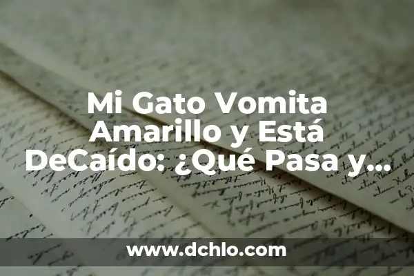 Significado de Ser una Persona Tolerante 5 Mi Gato Vomita Amarillo y Está DeCaído: ¿Qué Pasa y Cómo Ayudar?