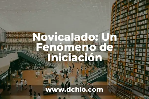 Iniciación de la Vigencia: Un Concepto Fundamental 6 Novicalado: Un Fenómeno de Iniciación