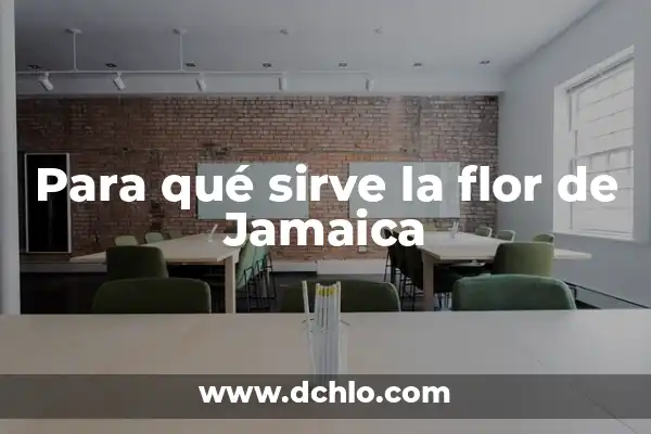 Infusión de Orégano: ¿Qué es y para qué sirve? 3 Para qué sirve la flor de Jamaica