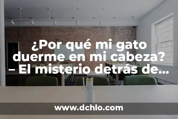Significado de Felino 6 ¿Por qué mi gato duerme en mi cabeza? – El misterio detrás de este comportamiento felino