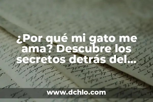 Significado de Felino 7 ¿Por qué mi gato me ama? Descubre los secretos detrás del amor felino